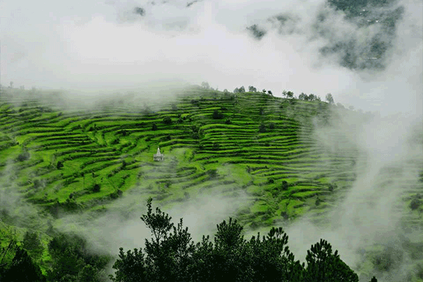 ranikhet photo